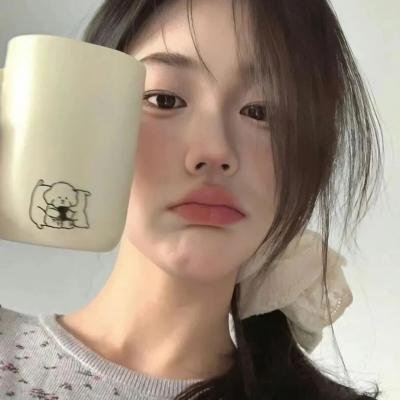 盗贼泰瑞莎